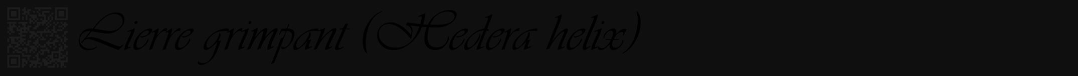 Étiquette de : Hedera helix - format a - style noire7viv avec qrcode et comestibilité