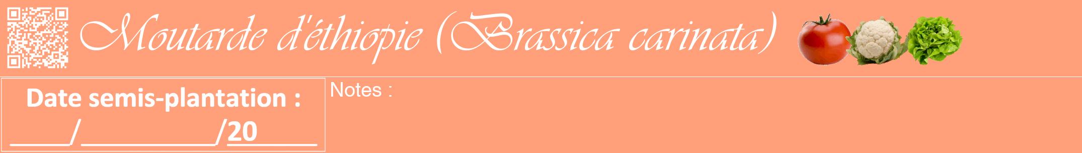 Étiquette de : Brassica carinata - format a - style blanche39viv avec qrcode et comestibilité simplifiée