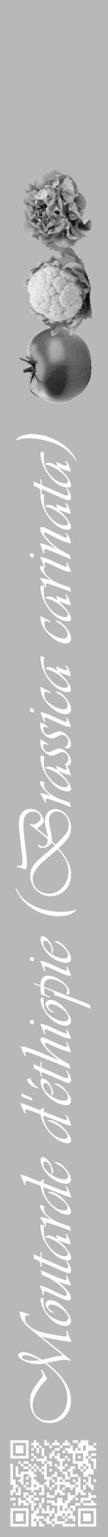 Étiquette de : Brassica carinata - format a - style blanche39viv avec qrcode et comestibilité simplifiée - position verticale