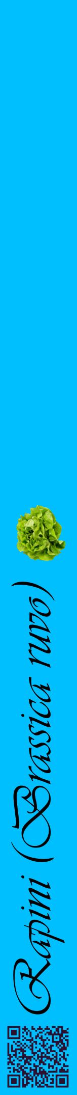 Étiquette de : Brassica ruvo - format a - style noire2viv avec qrcode et comestibilité simplifiée