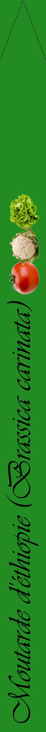 Étiquette de : Brassica carinata - format b - style noire10viv avec comestibilité simplifiée