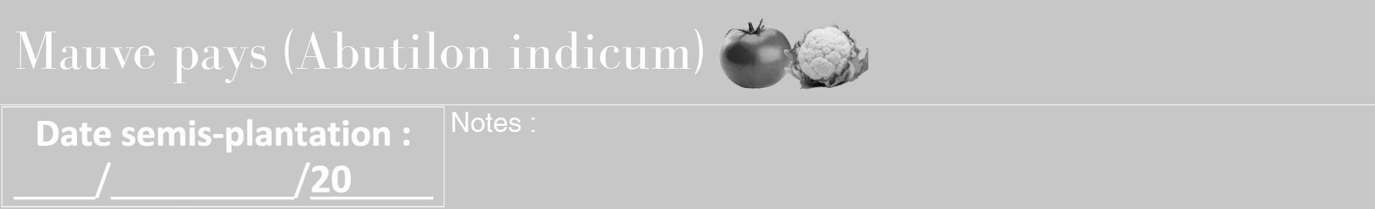Étiquette de : Abutilon indicum - format a - style blanche15bod avec comestibilité simplifiée