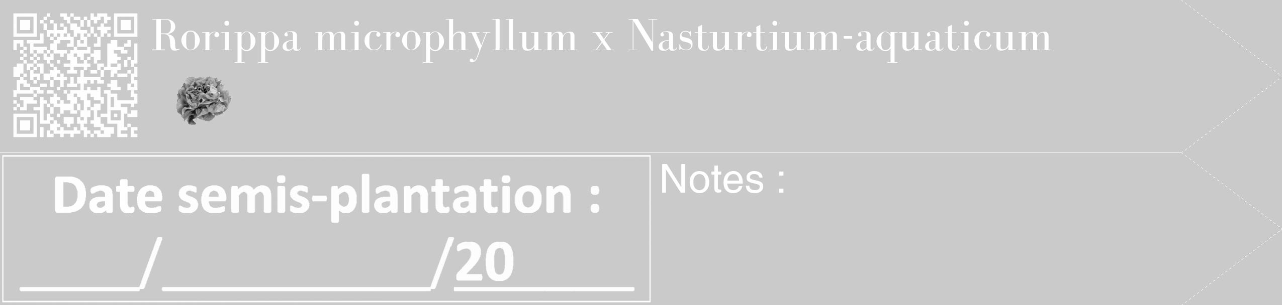 Étiquette de : Rorippa microphyllum x Nasturtium-aquaticum - format c - style blanche21_simple_simplebod avec qrcode et comestibilité simplifiée
