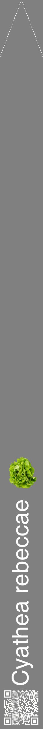 Étiquette de : Cyathea rebeccae - format b - style blanche57hel avec qrcode et comestibilité simplifiée