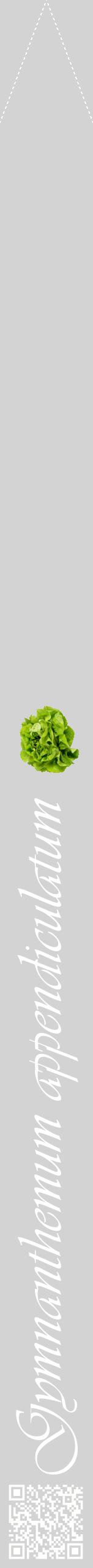 Étiquette de : Gymnanthemum appendiculatum - format b - style blanche56viv avec qrcode et comestibilité simplifiée