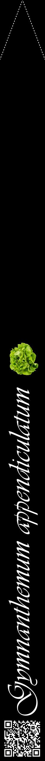 Étiquette de : Gymnanthemum appendiculatum - format b - style blanche59viv avec qrcode et comestibilité simplifiée