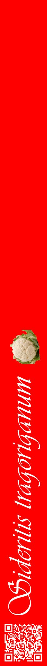 Étiquette de : Sideritis tragoriganum - format a - style blanche27viv avec qrcode et comestibilité simplifiée