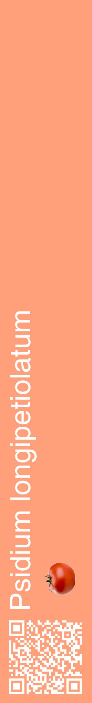 Étiquette de : Psidium longipetiolatum - format c - style blanche39_basiquehel avec qrcode et comestibilité simplifiée