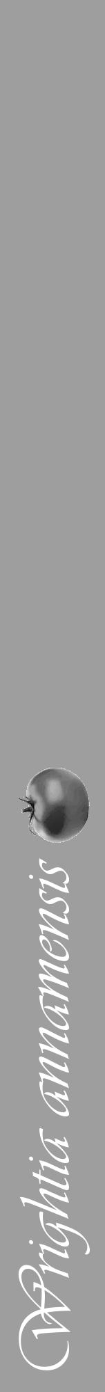 Étiquette de : Wrightia annamensis - format a - style blanche23viv avec comestibilité simplifiée - position verticale