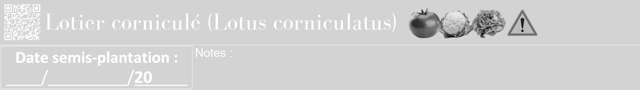 Étiquette de : Lotus corniculatus - format a - style blanche56bod avec qrcode et comestibilité simplifiée