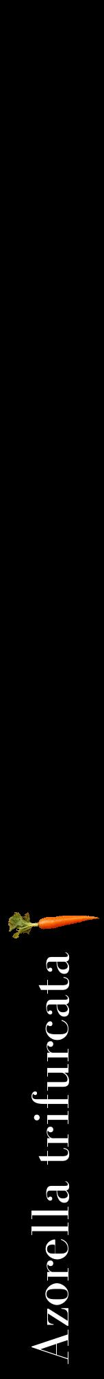 Étiquette de : Azorella trifurcata - format a - style blanche59bod avec comestibilité simplifiée
