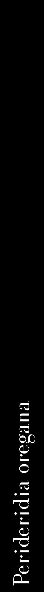 Étiquette de : Perideridia oregana - format a - style blanche59bod avec comestibilité - position verticale