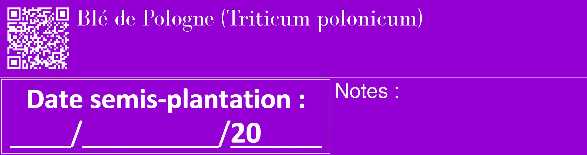 Étiquette de : Triticum polonicum - format c - style blanche48_basique_basiquebod avec qrcode et comestibilité