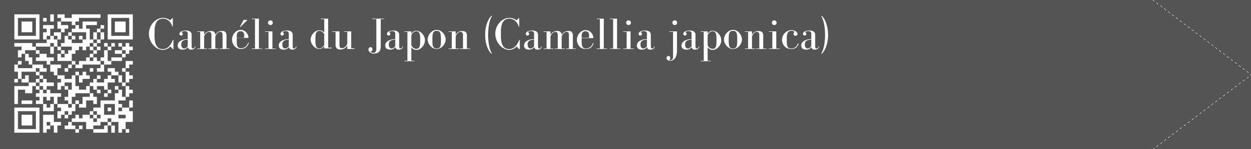 Étiquette de : Camellia japonica - format c - style blanche30_simple_simplebod avec qrcode et comestibilité