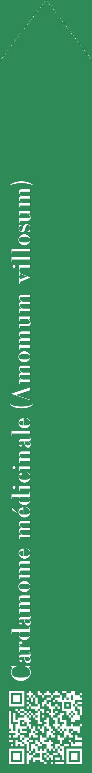 Étiquette de : Amomum villosum - format c - style blanche11_simplebod avec qrcode et comestibilité