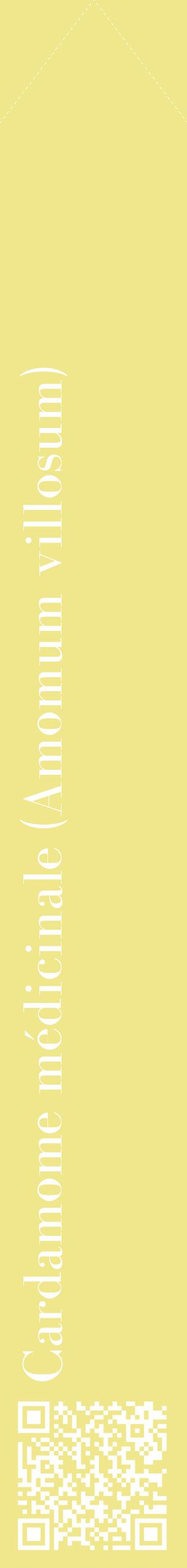 Étiquette de : Amomum villosum - format c - style blanche20_simplebod avec qrcode et comestibilité