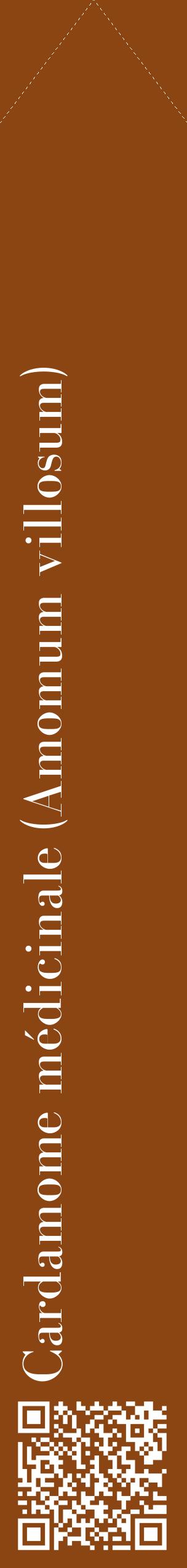 Étiquette de : Amomum villosum - format c - style blanche30_simplebod avec qrcode et comestibilité