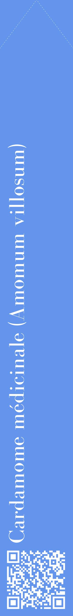 Étiquette de : Amomum villosum - format c - style blanche4_simplebod avec qrcode et comestibilité