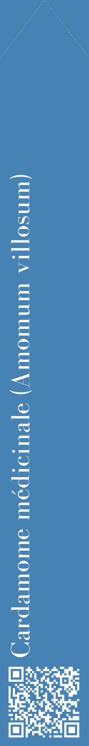 Étiquette de : Amomum villosum - format c - style blanche5_simplebod avec qrcode et comestibilité