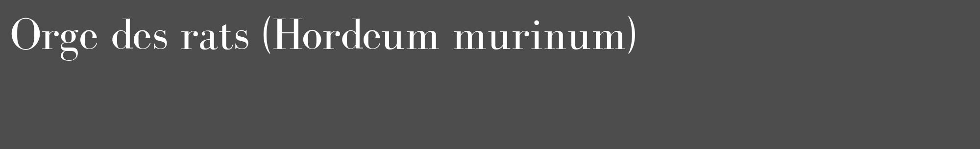 Étiquette de : Hordeum murinum - format c - style blanche28_basique_basiquebod avec comestibilité