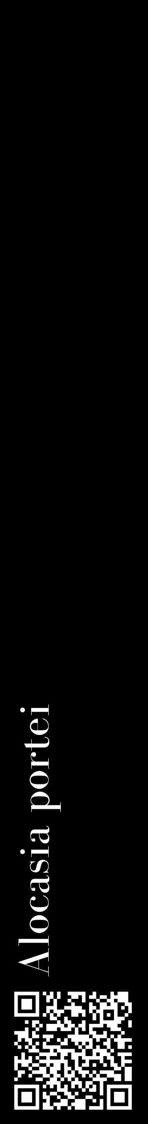 Étiquette de : Alocasia portei - format c - style blanche59_basiquebod avec qrcode et comestibilité