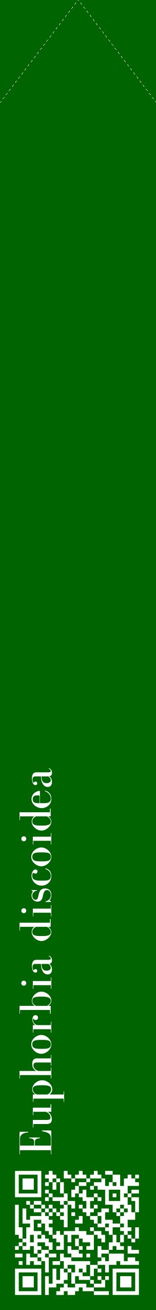 Étiquette de : Euphorbia discoidea - format c - style blanche8_simplebod avec qrcode et comestibilité