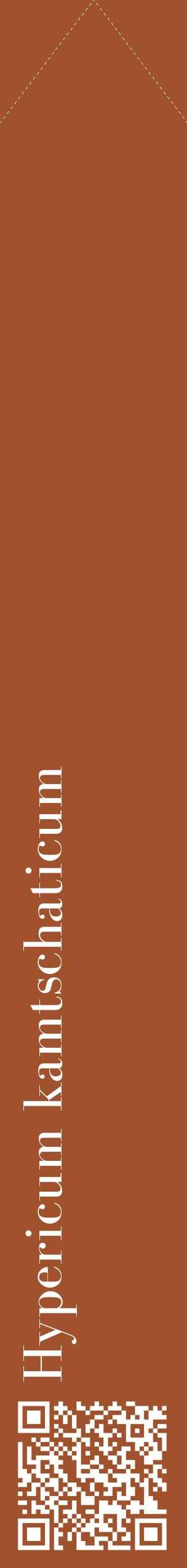 Étiquette de : Hypericum kamtschaticum - format c - style blanche32_simplebod avec qrcode et comestibilité