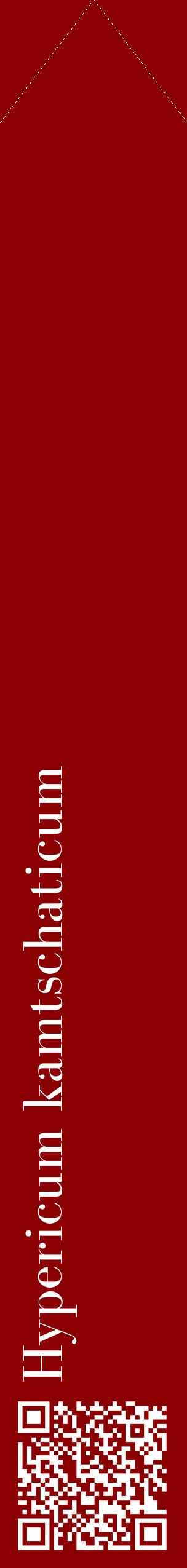 Étiquette de : Hypericum kamtschaticum - format c - style blanche34_simplebod avec qrcode et comestibilité