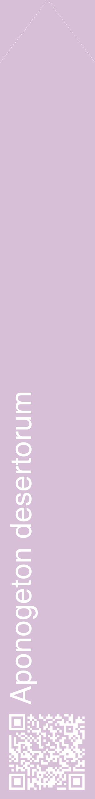 Étiquette de : Aponogeton desertorum - format c - style blanche54_simplehel avec qrcode et comestibilité