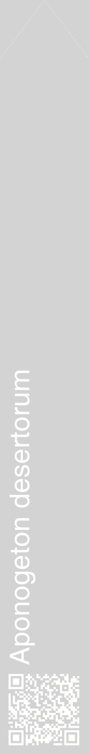 Étiquette de : Aponogeton desertorum - format c - style blanche56_simplehel avec qrcode et comestibilité