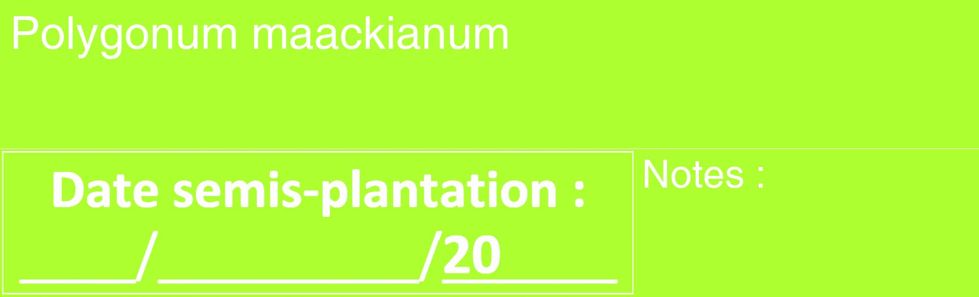 Étiquette de : Polygonum maackianum - format c - style blanche17_basique_basiquehel avec comestibilité