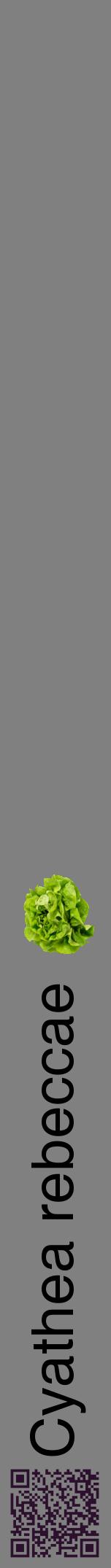 Étiquette de : Cyathea rebeccae - format a - style noire57hel avec qrcode et comestibilité simplifiée