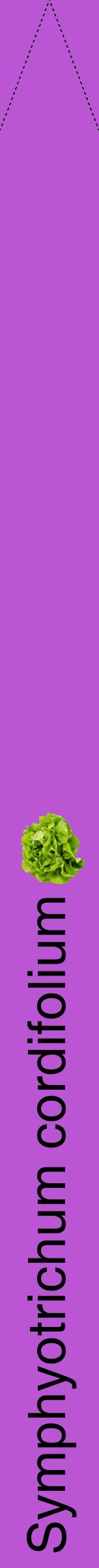 Étiquette de : Symphyotrichum cordifolium - format b - style noire50hel avec comestibilité simplifiée
