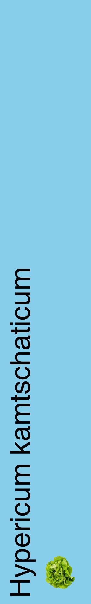 Étiquette de : Hypericum kamtschaticum - format c - style noire1_basiquehel avec comestibilité simplifiée