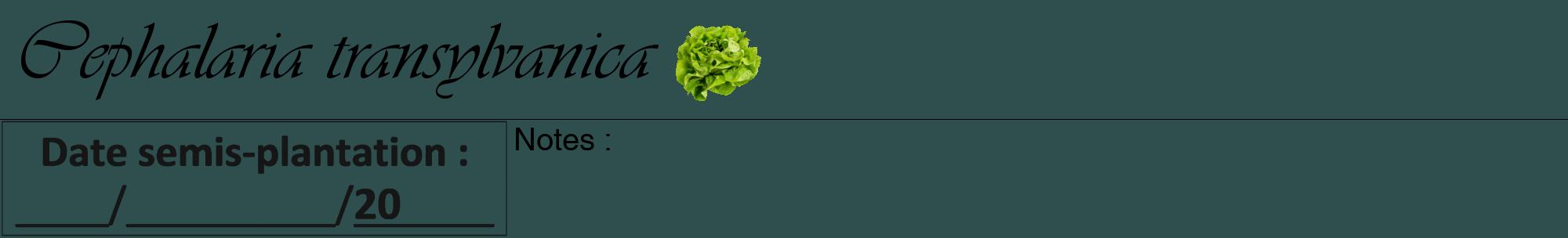 Étiquette de : Cephalaria transylvanica - format a - style noire58viv avec comestibilité simplifiée
