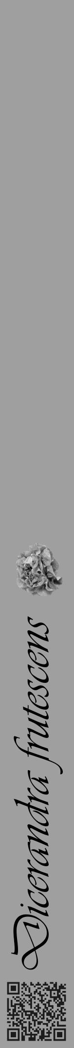 Étiquette de : Dicerandra frutescens - format a - style noire24viv avec qrcode et comestibilité simplifiée - position verticale