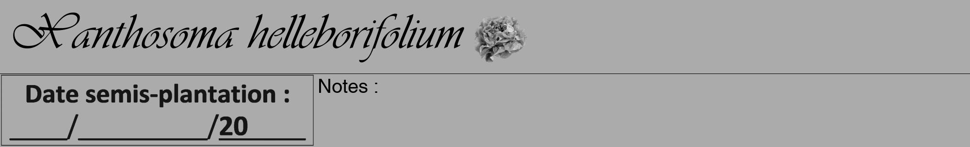 Étiquette de : Xanthosoma helleborifolium - format a - style noire37viv avec comestibilité simplifiée