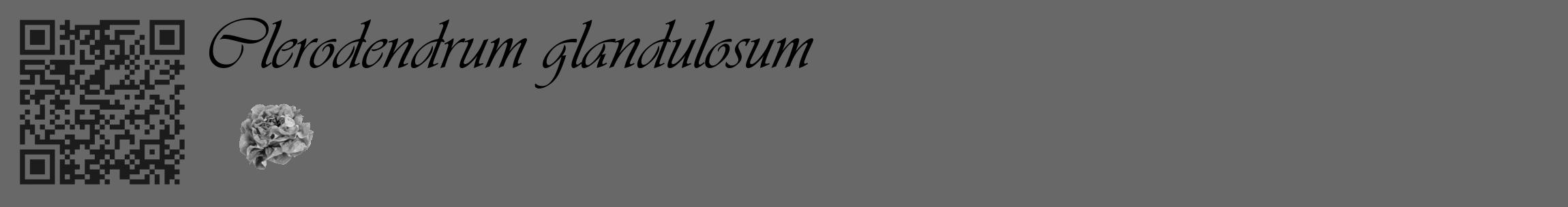 Étiquette de : Clerodendrum glandulosum - format c - style noire6_basique_basiqueviv avec qrcode et comestibilité simplifiée