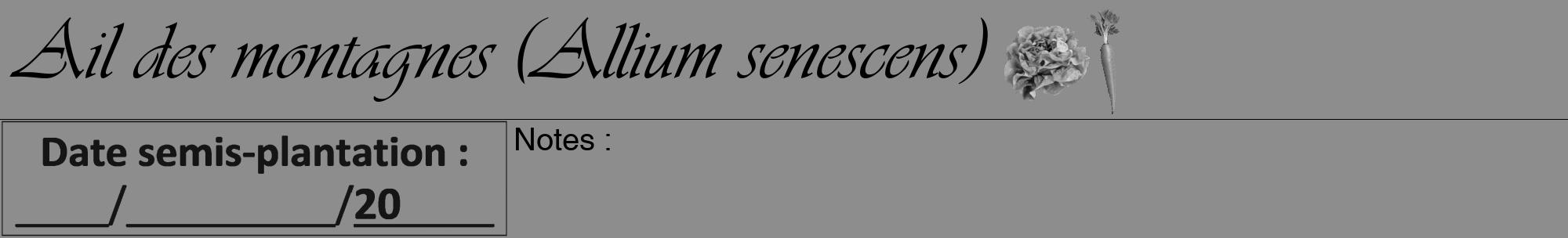 Étiquette de : Allium senescens - format a - style noire2viv avec comestibilité simplifiée