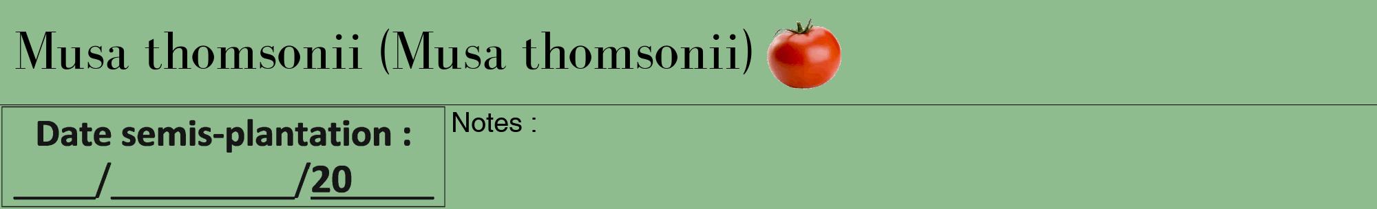 Étiquette de : Musa thomsonii - format a - style noire13bod avec comestibilité simplifiée