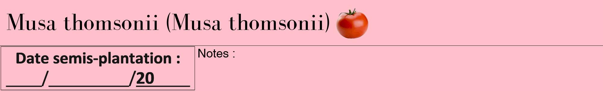 Étiquette de : Musa thomsonii - format a - style noire40bod avec comestibilité simplifiée