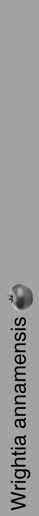 Étiquette de : Wrightia annamensis - format a - style noire38hel avec comestibilité simplifiée - position verticale