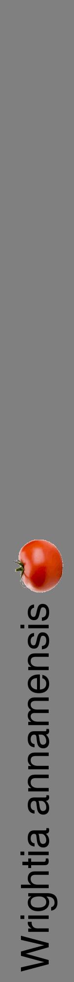 Étiquette de : Wrightia annamensis - format a - style noire57hel avec comestibilité simplifiée