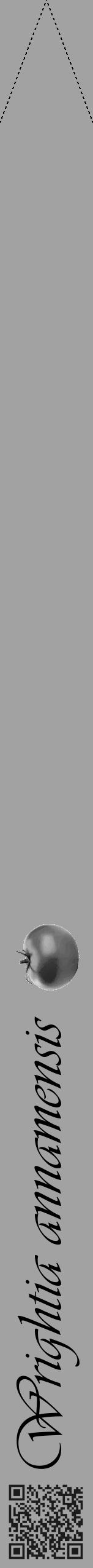 Étiquette de : Wrightia annamensis - format b - style noire38viv avec qrcode et comestibilité simplifiée - position verticale