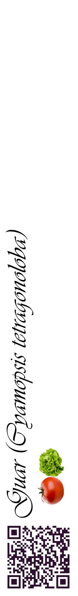 Étiquette de : Cyamopsis tetragonoloba - format c - style noire60_basiqueviv avec qrcode et comestibilité simplifiée