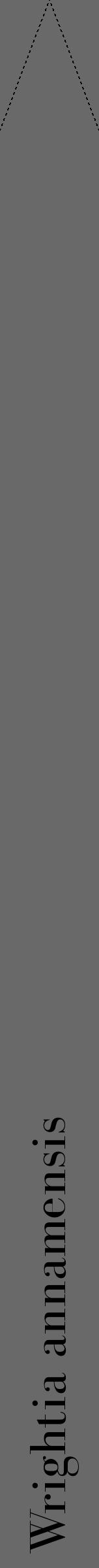 Étiquette de : Wrightia annamensis - format b - style noire11bod avec comestibilité - position verticale