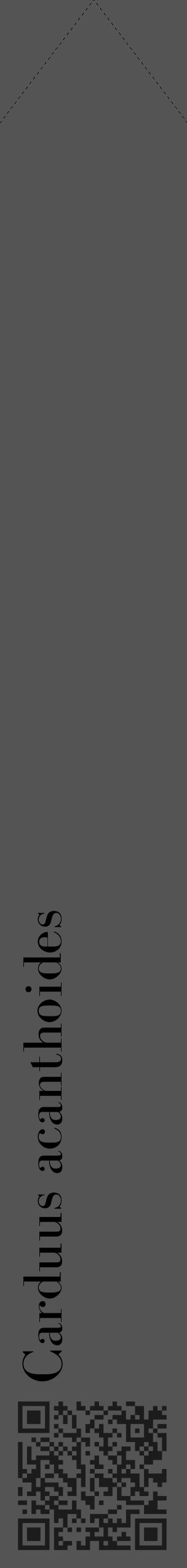 Étiquette de : Carduus acanthoides - format c - style noire36_simple_simplebod avec qrcode et comestibilité - position verticale