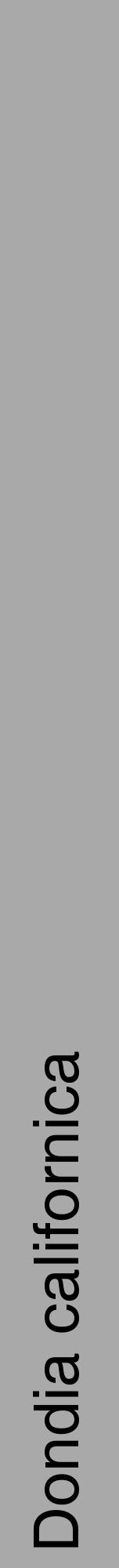 Étiquette de : Dondia californica - format a - style noire13hel avec comestibilité - position verticale