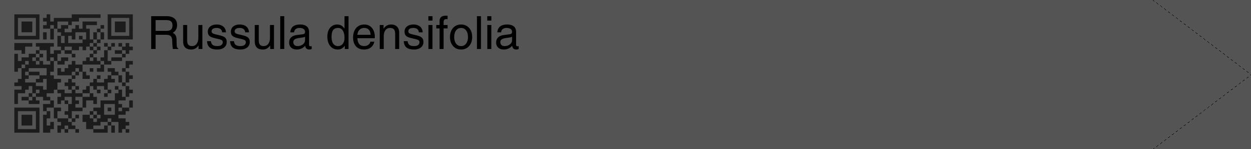Étiquette de : Russula densifolia - format c - style noire36_simple_simplehel avec qrcode et comestibilité