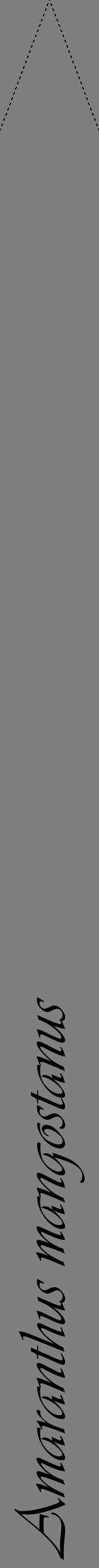 Étiquette de : Amaranthus mangostanus - format b - style noire31viv avec comestibilité - position verticale